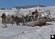 Winter in Wyoming. Photo by Barbara Ellwood.