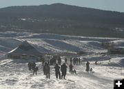 Dual 6-dog start. Photo by Clint Gilchrist, Pinedale Online.