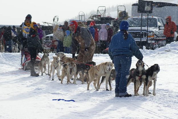 John Wood team lines up. Photo by Cat Urbigkit, Pinedale Online.