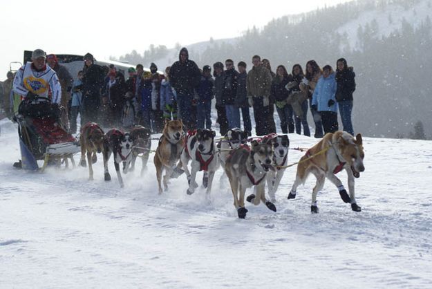 Wesley Rau start. Photo by Cat Urbigkit, Pinedale Online.