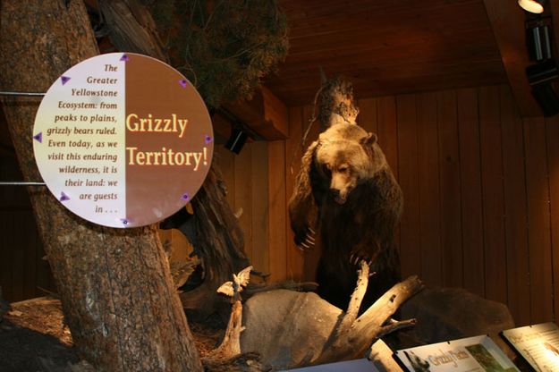 Griz Territory. Photo by Pam McCulloch, Pinedale Online.