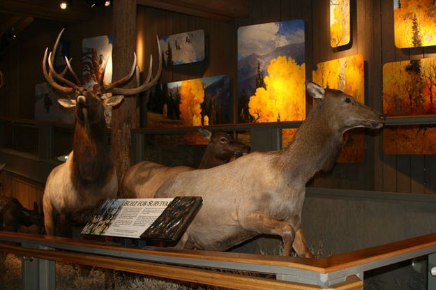 Visitor Center. Photo by Pam McCulloch, Pinedale Online.