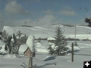 Snow Tower. Photo by Bondurant Webcam.