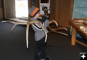 Elk Antler. Photo by Pam McCulloch, Pinedale Online!.