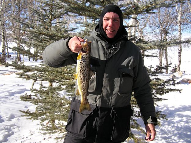 Aaron Seehafer 1st Place Brown. Photo by Bill Boender .