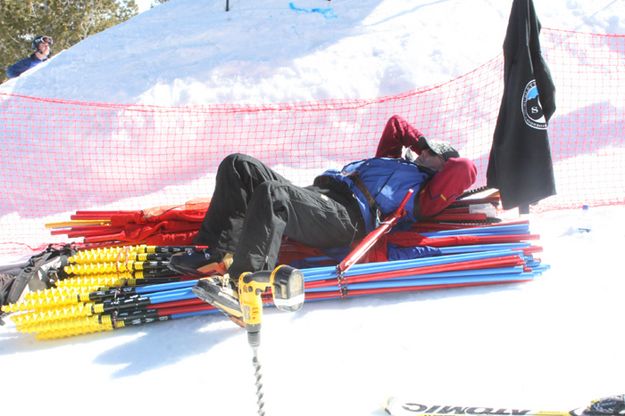 Lundberg napping. Photo by Pam McCulloch, Pinedale Online.