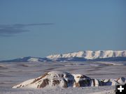 Winter Scene. Photo by Scott Almdale.