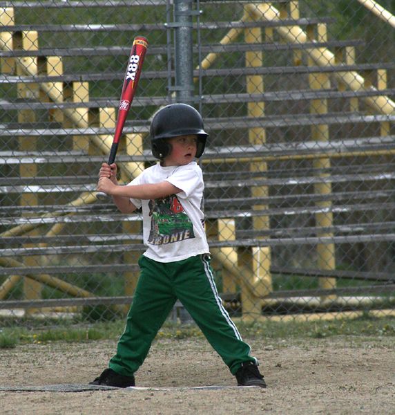 Little League Batter. Photo by Pam McCulloch.