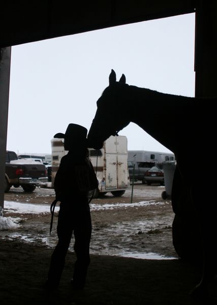 Waiting their Turn. Photo by Pam McCulloch.