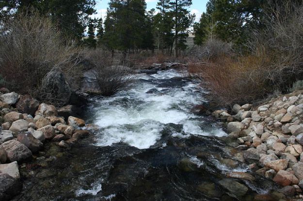 Fall Creek. Photo by Alan Svalberg.