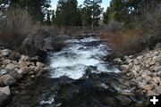 Fall Creek. Photo by Alan Svalberg.
