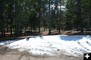 Remnant Snow. Photo by Garrett Bardin.