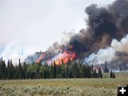 Back burn fire. Photo by Allene Dana.