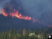 Line of flames. Photo by Allene Dana.