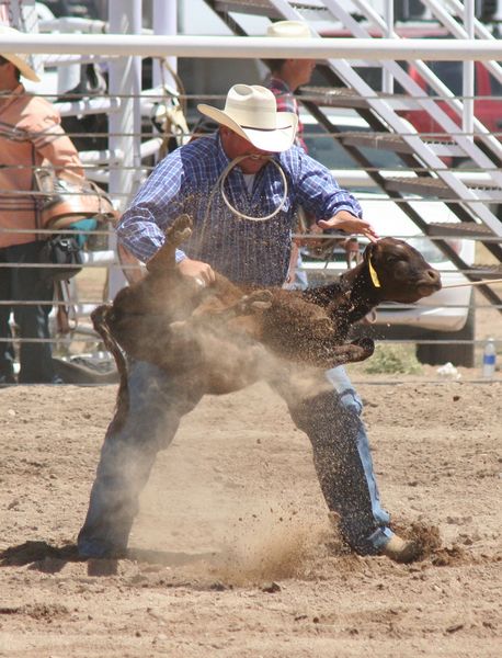 Calf Roping. Photo by Clint Gilchrist, Pinedale Online.