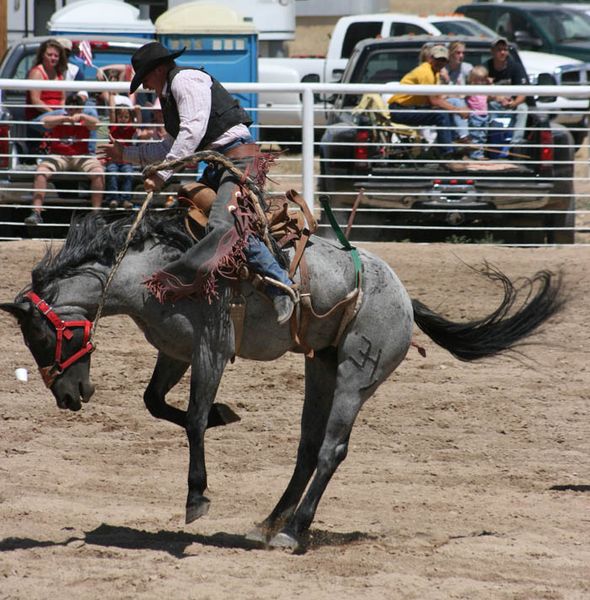 Before the Wreck. Photo by Dawn Ballou, Pinedale Online.