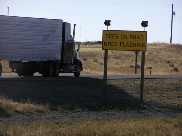 Wildlife on road warning. Photo by Pinedale Online.