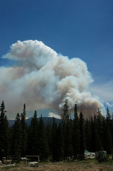 Salt Lick Fire plume. Photo by Andrew Garland.