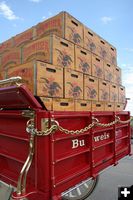 Cases of beer. Photo by Dawn Ballou, Pinedale Online.