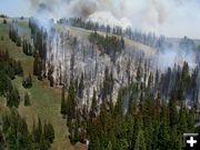 Burn to ridge. Photo by Bridger-Teton National Forest.