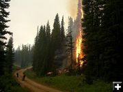 View from Horse Creek Road. Photo by Bridger-Teton National Forest.