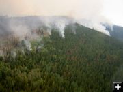 Spot Fires. Photo by  Bridger-Teton National Forest.