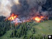 Hot Flames. Photo by Bridger-Teton National Forest.