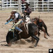 Nose Dive. Photo by Dawn Ballou, Pinedale Online.