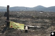 Burned fire signs. Photo by Dawn Ballou, Pinedale Online.