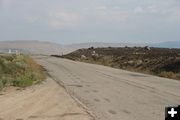 Jumped the road. Photo by Dawn Ballou, Pinedale Online.