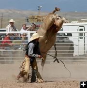 Watch the kick. Photo by Dawn Ballou, Pinedale Online.