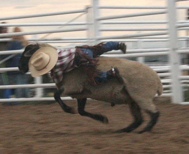 Dalton Bell Flying. Photo by Dawn Ballou, Pinedale Online.