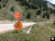 Damaged guard rail. Photo by Joy Ufford.