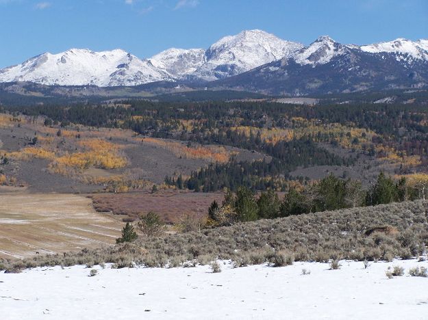 Fresh Snow. Photo by Scott Almdale.