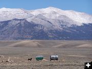 Sheep Wagons. Photo by Scott Almldale.