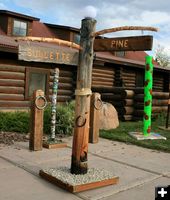 Between Fences. Photo by Dawn Ballou, Pinedale Online.