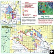 Big Piney HMA. Photo by Wyoming Game & Fish.