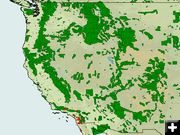 Wildfire Map Oct 24. Photo by MODIS Rapid Response.