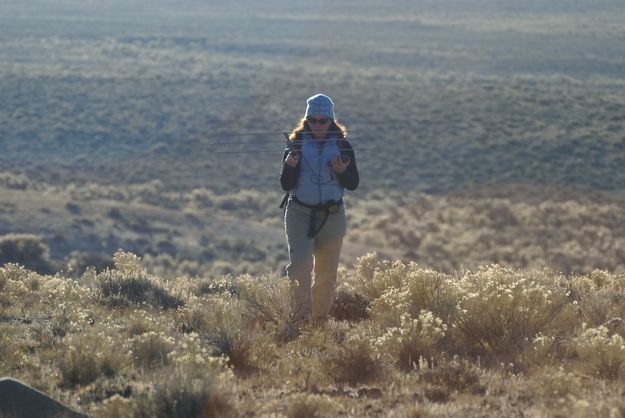 Searching. Photo by Cat Urbigkit.