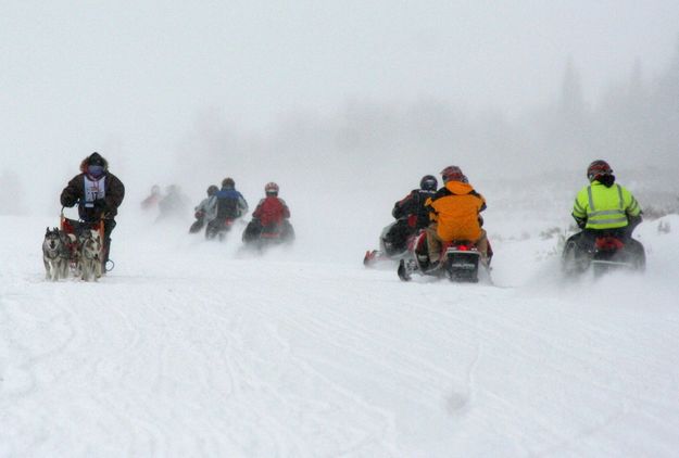 Sharing the Trail. Photo by Pinedale Online.