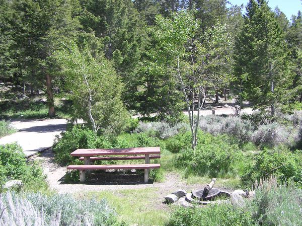 Campsite. Photo by Dawn Ballou, Pinedale Online.