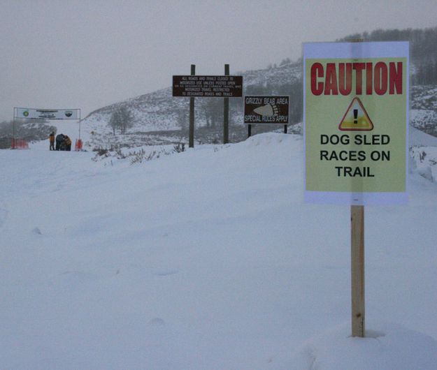 Griz and Sleds. Photo by Dawn Ballou, Pinedale Online.