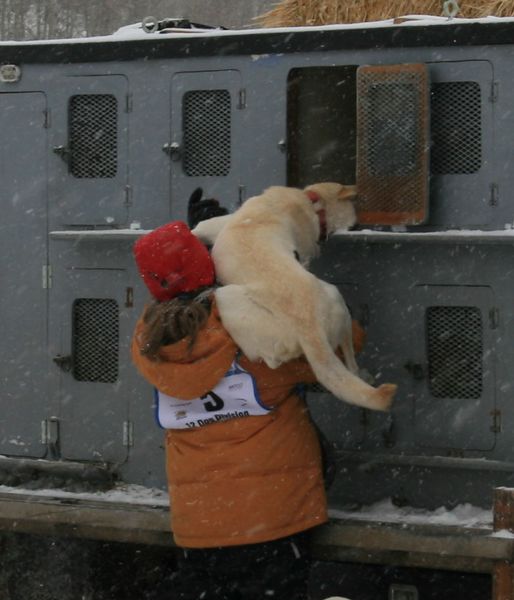 Stuff a Pup. Photo by Dawn Ballou, Pinedale Online.