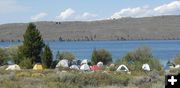 No dispersed camping. Photo by Dawn Ballou, Pinedale Online.