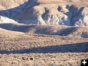 Pinedale Badlands. Photo by Scott Almdale.