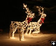 Deer Lights. Photo by Dawn Ballou, Pinedale Online.