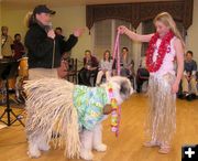 Doggy Fashion Show. Photo by Dawn Ballou, Pinedale Online.