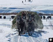 Hay Wagon. Photo by Barbara Ellwood, Dell Fork Ranch.