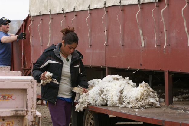 Wool Girl. Photo by Cat Urbigkit.