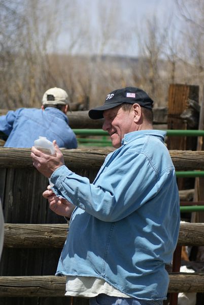 Bob. Photo by Cat Urbigkit, Pinedale Online.